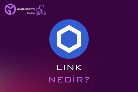 LINK NEDİR