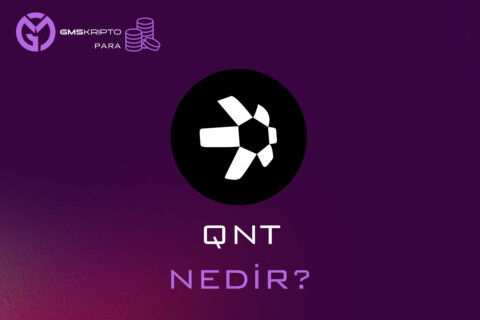 QNT NEDİR
