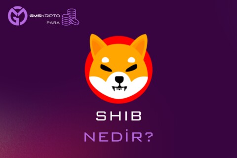 SHIB NEDİR
